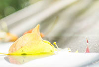 部评选出了 部评选出了